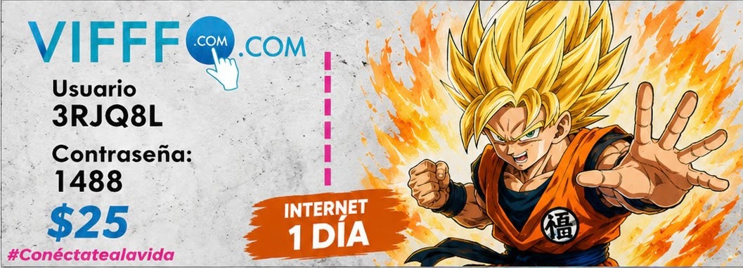 Ficha Internet 1 Día
